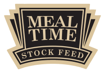 Mealtime