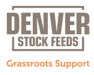 Denver Stock Feeds
